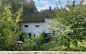 In Saarbruecken Stadtnahe Gemuetliche Wohnung Am Deutsch-Franzoesischen Garten